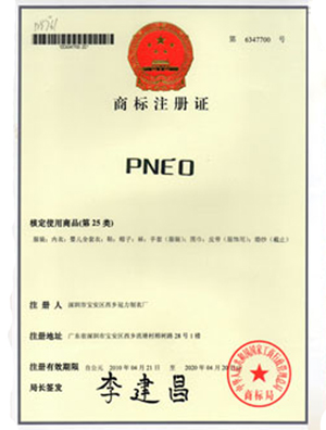 PNEO-商标注册证